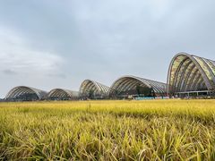 -中国天府农业博览园