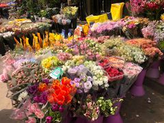 -宝鸡东道花鸟鱼虫市场(吉利花园商场店)