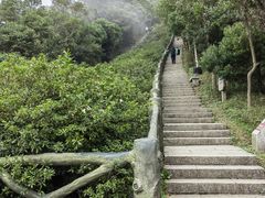 -梧桐山风景名胜区