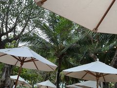 -三亚艾迪逊酒店·海滩烧烤 BARBACOA·现场乐队·浪漫晚餐·烧烤海鲜