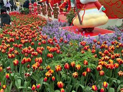 -广州市白云山风景名胜区
