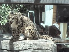 -青藏高原野生动物园