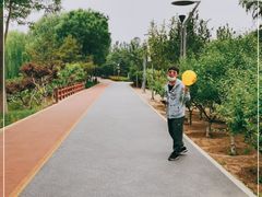 -大兴滨河森林公园