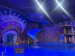 -烟台海昌鲸鲨海洋公园