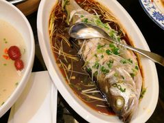 姜茸鸡汁蒸鲈鱼-舜和枣庄大酒店