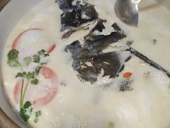 -全乐鱼馆·淳牌有机鱼直营店
