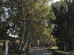-T80科技文化国际社区-停车场