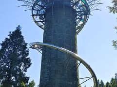 -黄海国家森林公园