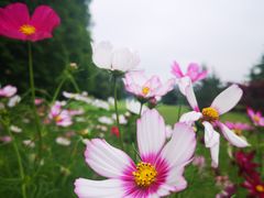 -汇泉广场