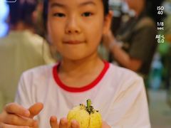 -观澜湖手艺工场·陶艺·吹玻璃·拼豆