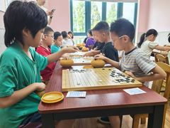 -智韵素养黎明练字(莘庄校区)