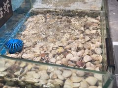 -汉阳廷自助烤肉·火锅(万丰海岸城店)