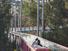 -盈香心动乐园