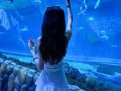 -华夏文旅海洋公园