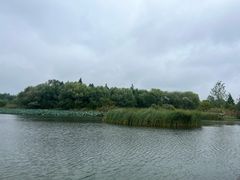 -溱湖国家湿地公园