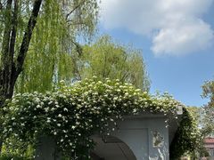 -四川大学(望江校区)