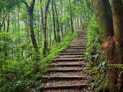 -广州市帽峰山景区