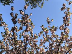 -敬亭山风景名胜区