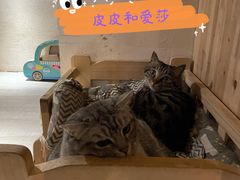 -有才叔北京时间涮肉(紫薇尚层店)