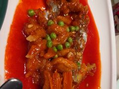 -苏乡兰亭·新派淮扬菜(吾悦广场店)