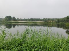 -东郊湿地公园