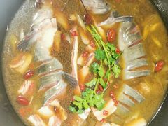-桃源村铁锅炖鱼(体育馆道店)