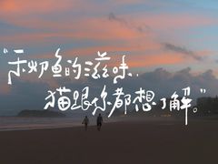-阿三生煎(正弘城店)