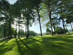 -平安（深圳）金融教育培训中心