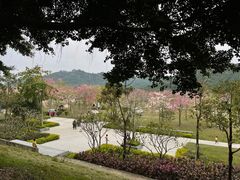 -风云岭森林公园