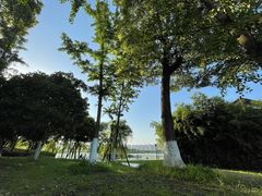 -洋湖国家湿地公园