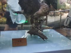 -陕西自然博物馆