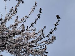 -合肥融创永乐半山酒店·永乐半山西餐厅