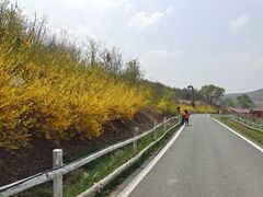 -大连铭湖国际观光牧场