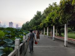 -莲花池公园