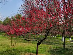 -贵阳市花溪国家城市湿地公园