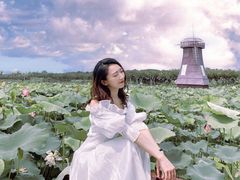 -武汉紫薇都市田园