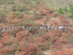 -狼牙山风景区