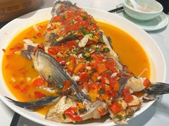 -全乐鱼馆·淳牌有机鱼直营店