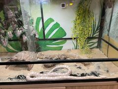 -藦茜花园宠物主题亲子互动体验馆(国顺东路店)