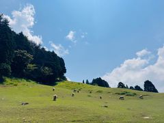 -神户市立六甲山牧场