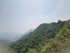 -大岭沟猕猴桃谷风景区