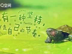 -德克士(东安店)