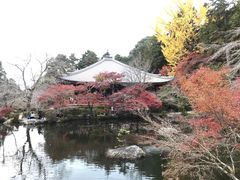 -醍醐寺