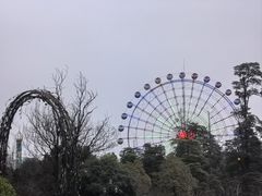 -成都南湖公园
