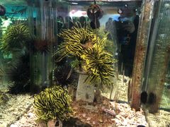 -太平洋海底世界