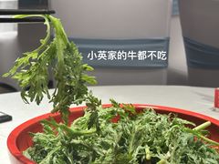 -山东老家(科韵分店)
