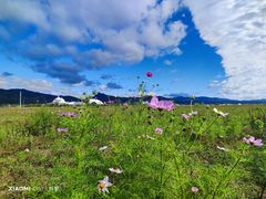-敕勒川草原