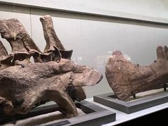 -世界恐龙谷景区