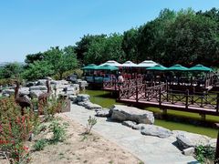 -北京西山国家森林公园