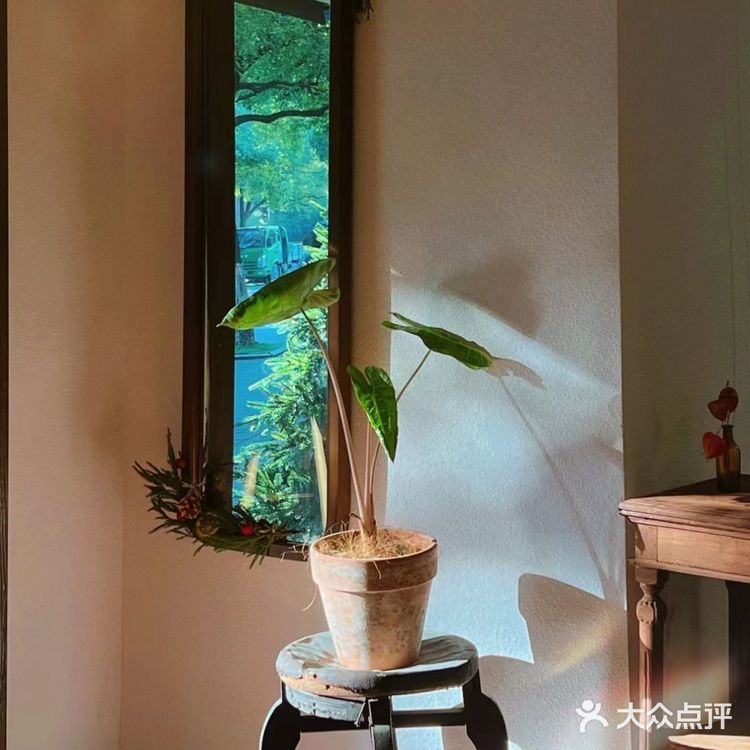 转角遇见你🤗